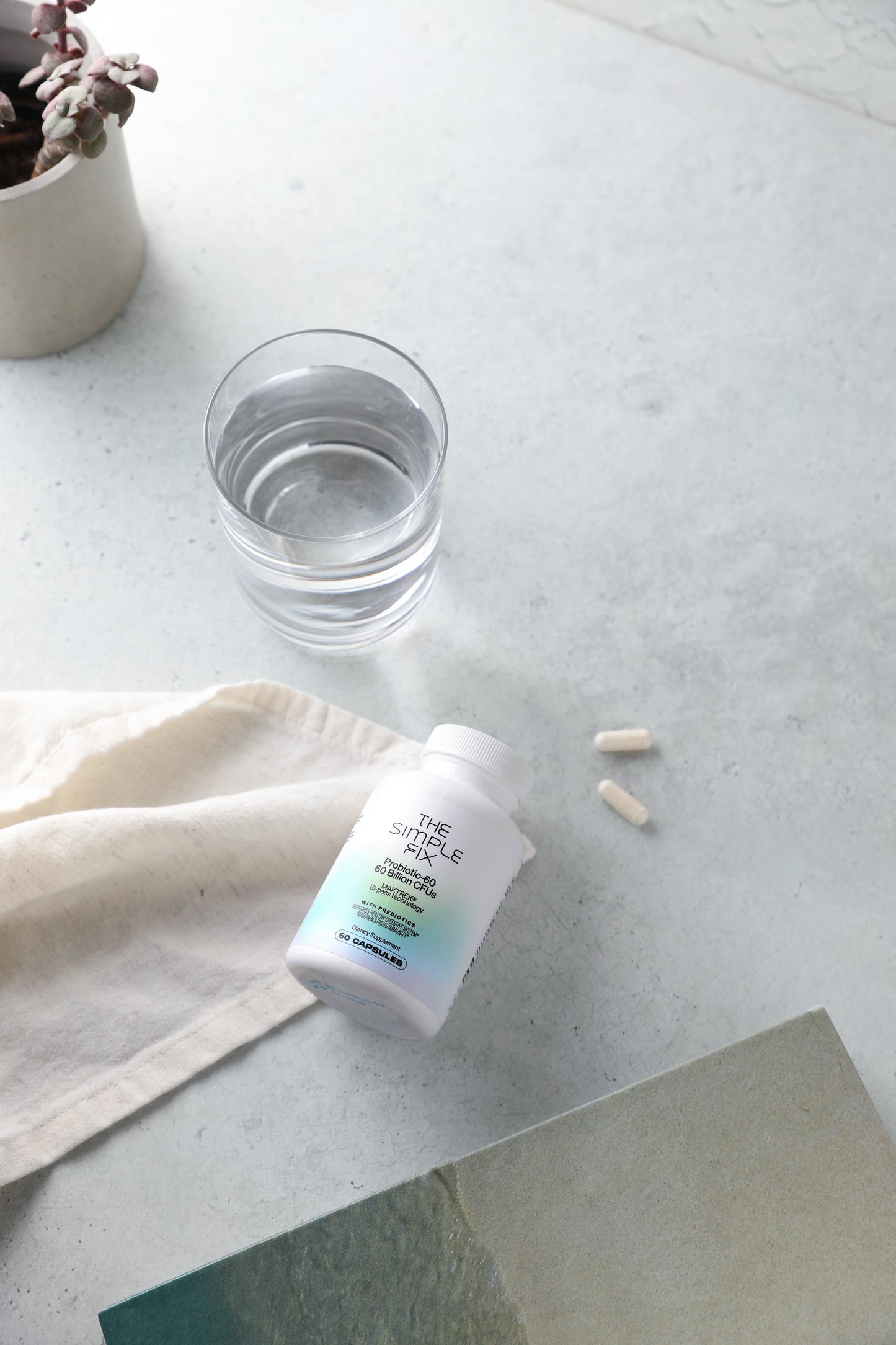 Probiotics for gut health