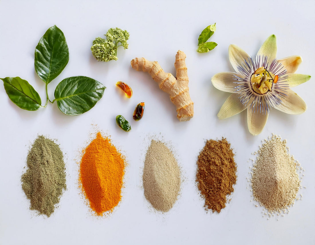 Adaptogens 101: What They Are, What They Aren’t
